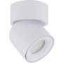 Spot TWIST 10576 1x10W/GU10 IP65 von TK Lighting