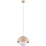 Pendelleuchte BONO 10645 1x15W/E27 IP20 von TK Lighting