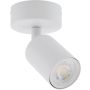 Spot NEX 11368 1x10W/GU10 IP20 von TK Lighting