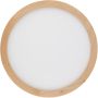 Deckenleuchte AQUA WOOD 18011 3000K, 4000K, 6500K 1x36W/LED 4080lm IP54 von TK Lighting