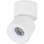 Spot SPARK 18168 3000/4000/6000 K 1x10W/LED 488lm IP20 von TK Lighting