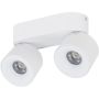 Spot SPARK 18171 3000/4000/6000 K 2x10W/LED 965lm IP20 von TK Lighting