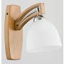 Wandleuchte MAGNAT 21380 1x15W/E27 von Alfa