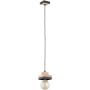 Pendelleuchte LARSO 61540 1x15W/E27 von Alfa