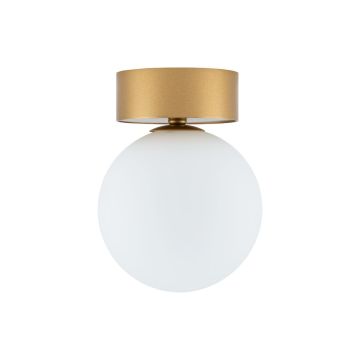 Deckenlampe KIER 10623 1x12W/G9 IP20 von Nowodvorski