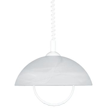 Pendelleuchte ALBERT 23068 1x60W/E27 IP20 von Prezent