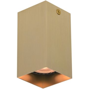 Aufbau-Downlight Ander CLN-28394-S-GD 1x10W/GU10 IP20 von Italux