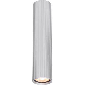 Aufbau-Downlight Rilok CLN-83920-L-ALU 1x10W/GU10 IP20 von Italux