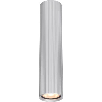 Aufbau-Downlight Rilok CLN-83920-M-ALU 1x10W/GU10 IP20 von Italux