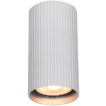 Aufbau-Downlight Rilok CLN-83920-S-ALU 1x10W/GU10 IP20 von Italux