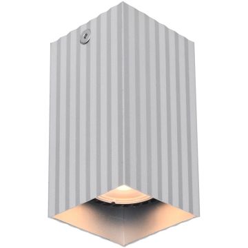 Aufbau-Downlight Tecno CLN-37492-S-ALU 1x10W/GU10 IP20 von Italux