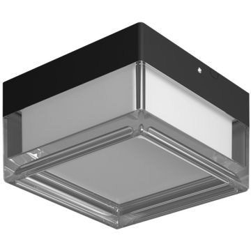 Deckenlampe Nefis PLF-53628-BK 1x9W/LED IP65 von Italux