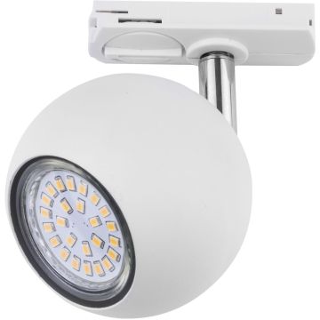 Befestigungselement TRACER 4040 1x50W/GU10 von TK Lighting