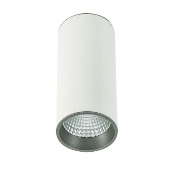 Anbauleuchten Downlight MOLDES SLC7392/12W 4000K WH+GR 1x12W/LED 820LM IP20 von Italux