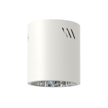 Aufbau-Downlight GEORGE ML0479 1x60W/E27 IP20 von Milagro
